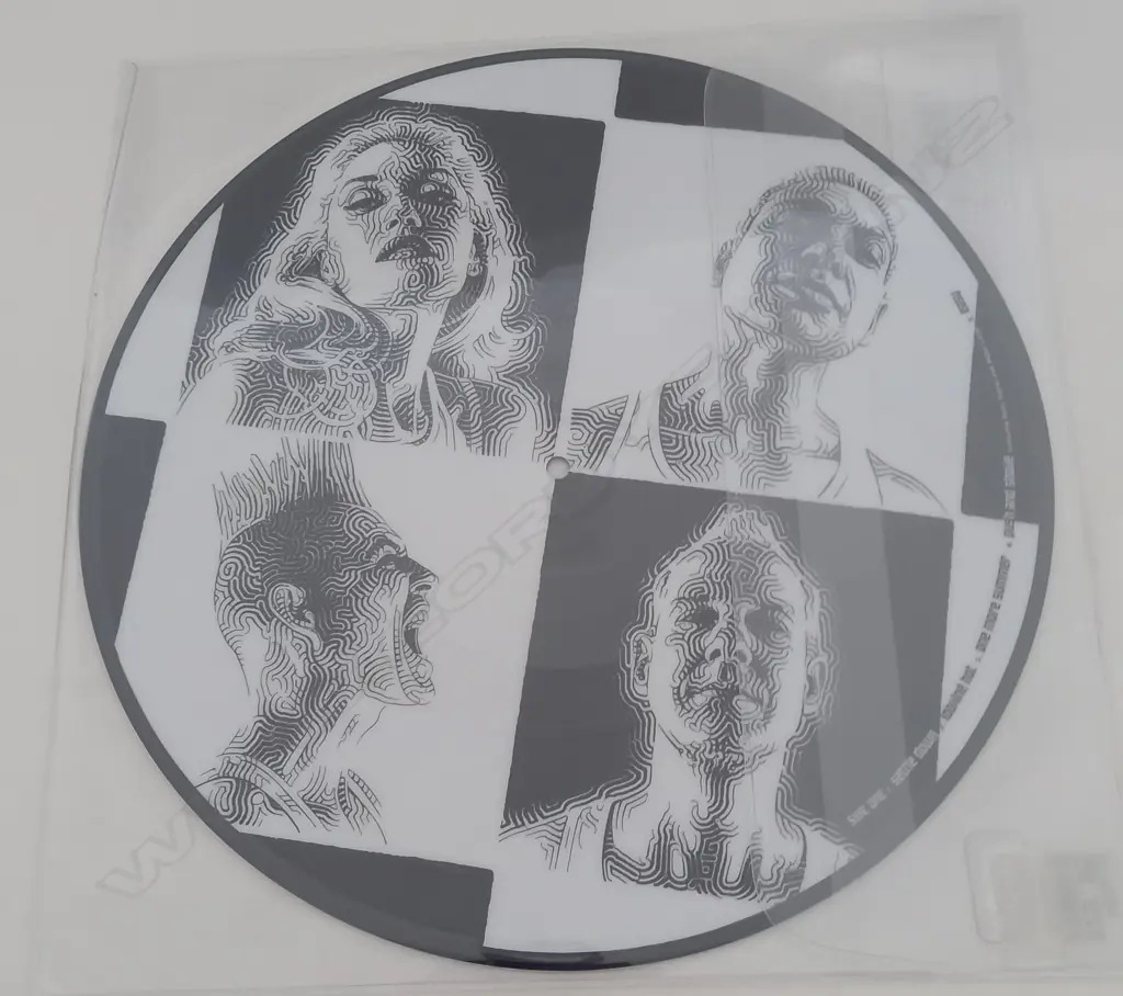 No Doubt, Push And Shove, (Picture Disc) Image 1++